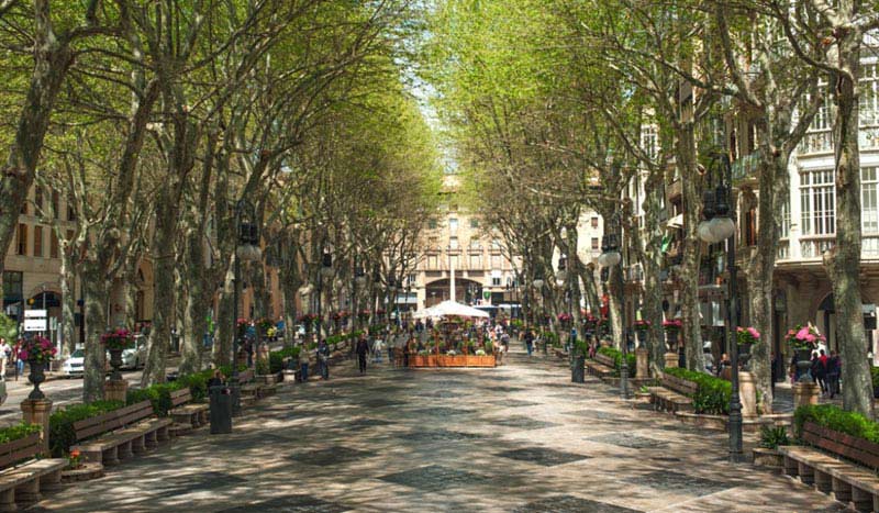 One of Palma’s splendid shopping boulevards