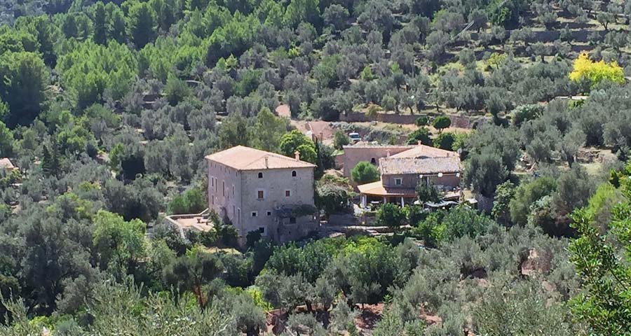 Investment finca in Soller finca in Soller