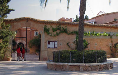 The Academy International School Mallorca The Academy International School