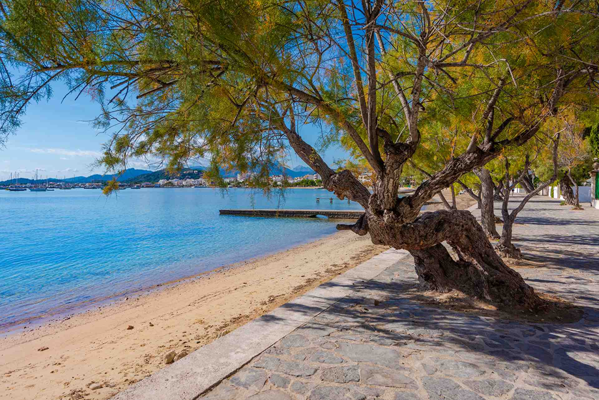 Pine Walk waterfront in Puerto Pollensa, Mallorca