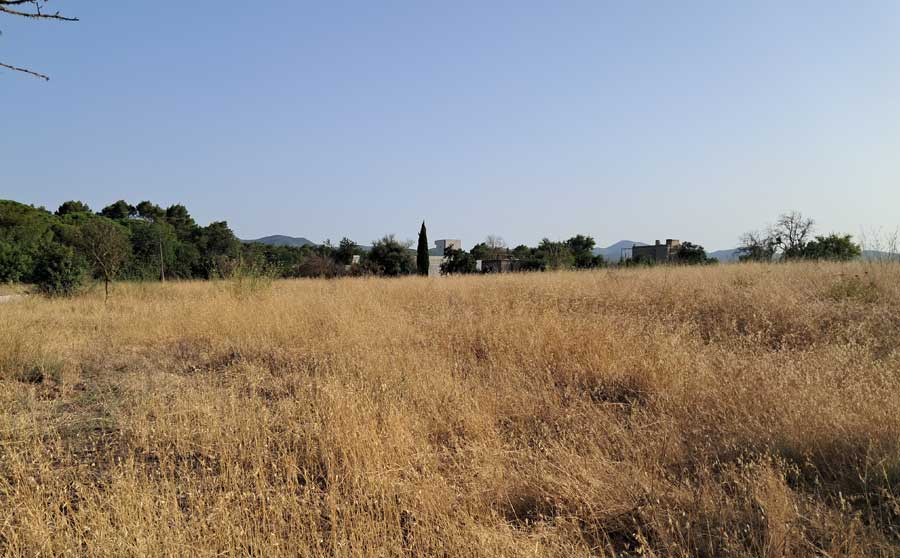 Property in Ibiza