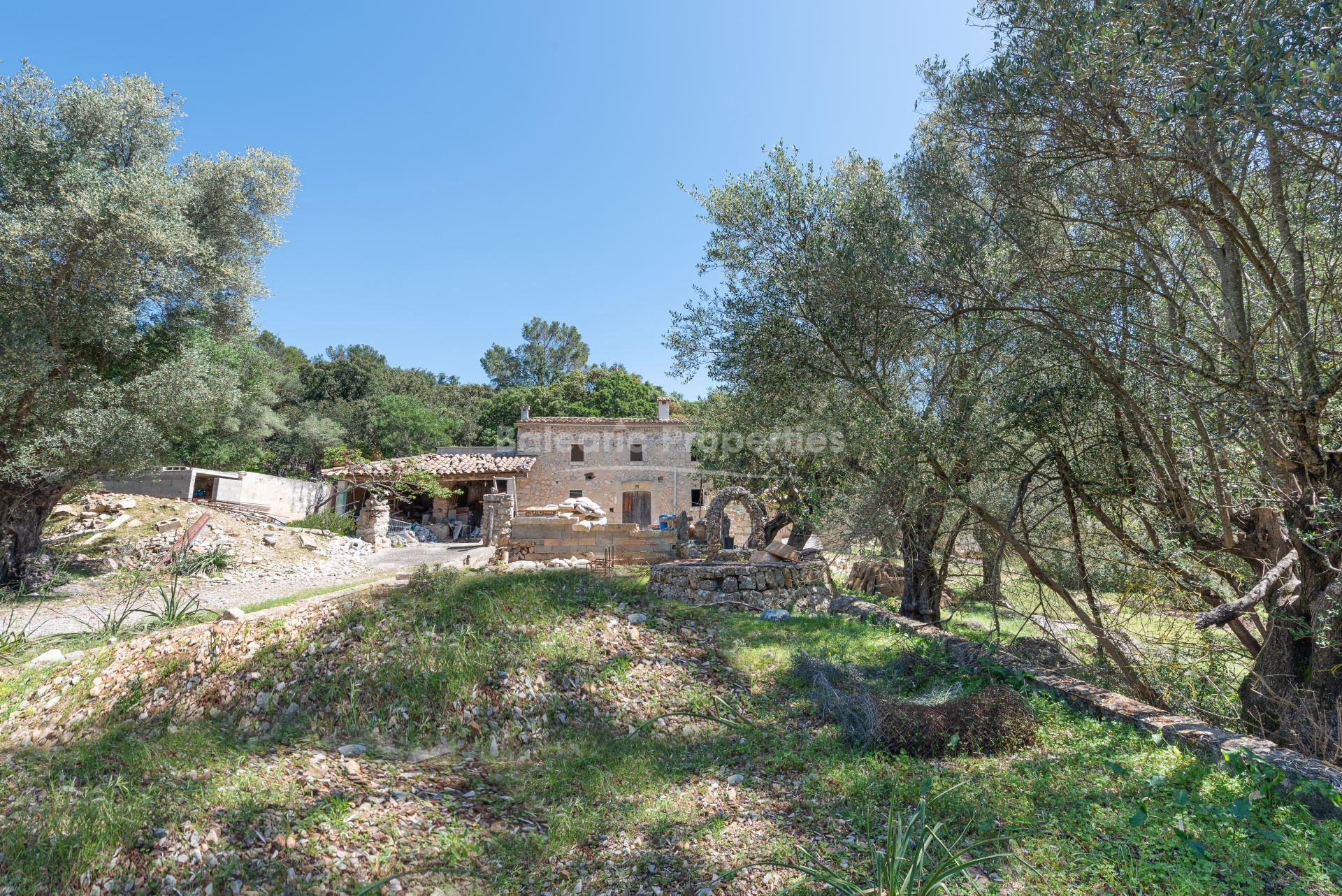 Finca-Investmentobjekt mit Bergblick kaufen in Pollensa, Nord-Mallorca
