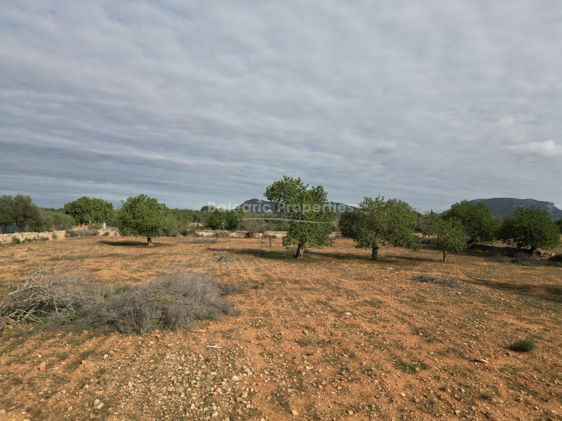 Amplia parcela con licencia en venta en Llucmajor, sur de Mallorca