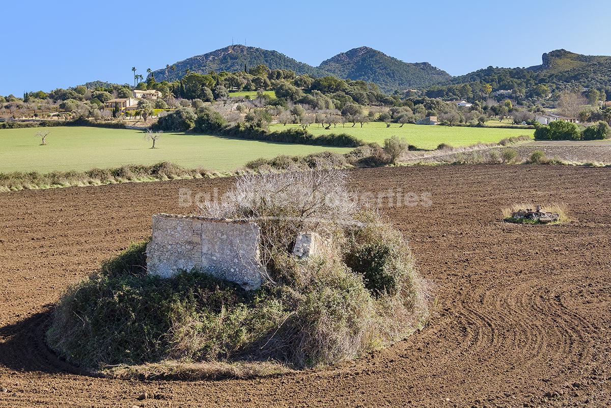 Terreno rústico con opción a construir, en venta en Alcudia, Mallorca.