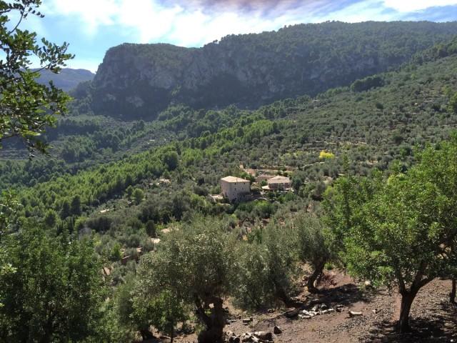 Investment property for sale in Soller, Mallorca