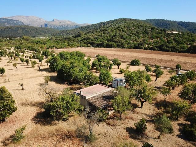 Gorgeous Mallorcan plot with serene views for sale in Campanet, Mallorca