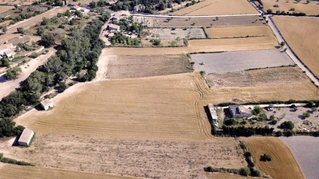 Maravilloso terreno rústico en venta en Sant Joan, Montuiri
