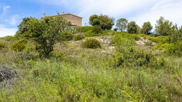 Terreno edificable con vistas en Calvià, Mallorca