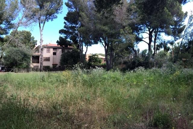 Exclusive building plot in Santa Ponsa, Mallorca