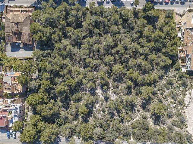 Large section of urban land to develop, for sale in Santa Ponsa, Mallorca