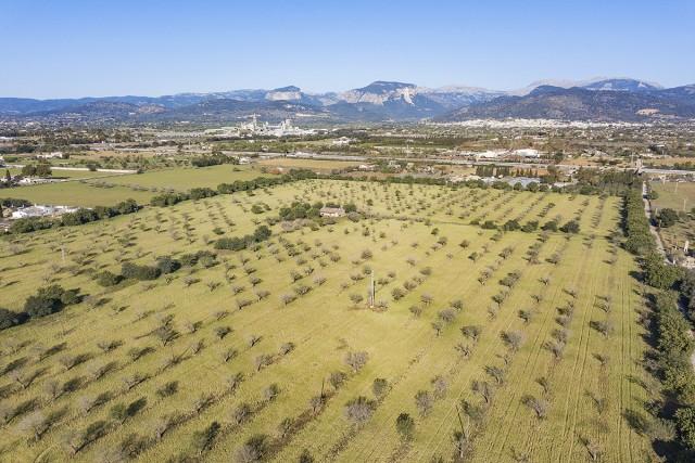 Enorme terreno rústico con vistas a la montaña, en venta en Inca, Mallorca 