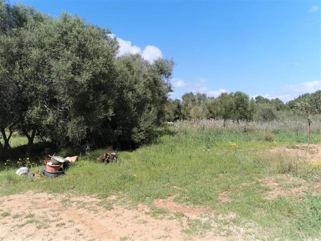 Plot with a project for a house with pool, for sale in Campos, Mallorca