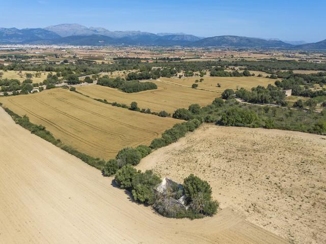 Beautiful plot with views of the mountains and Alcudia bay for sale in Muro, Mallorca