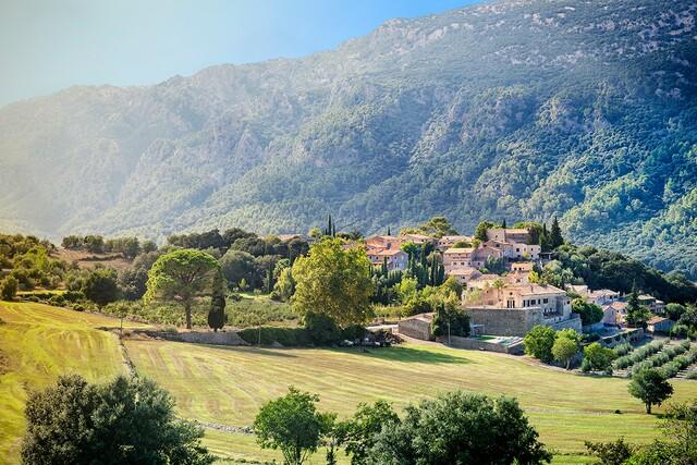 Historisches Landgut zum Renovieren kaufen in Orient, Mallorca