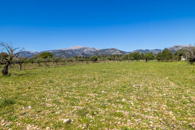 Rustic plot with a pending villa project for sale in Selva, Mallorca