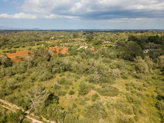 Amplio terreno en venta en la tranquila Algaida, centro de Mallorca