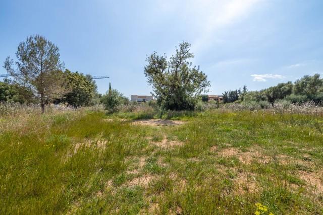 Parcela con un impresionante fondo montañoso en venta en Bunyola, noroeste de Mallorca