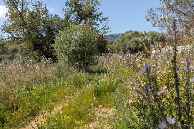 Parcela residencial con impresionantes vistas a la montaña en venta en Bunyola, noroeste de Mallorca