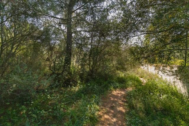 Parcela en venta en Bunyola, noroeste de Mallorca