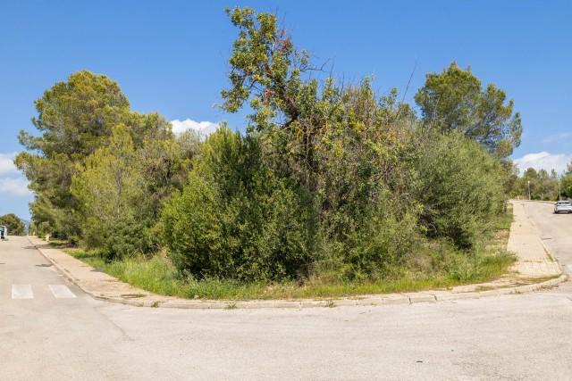 Parcela con vistas excepcionales a la montaña en venta en Bunyola, noroeste de Mallorca