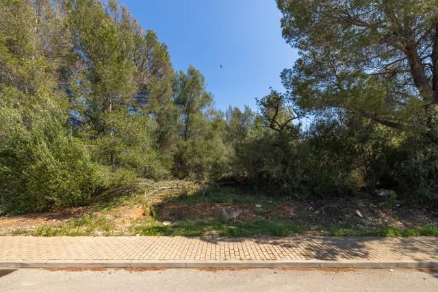 Parcela con vistas excepcionales a la montaña en venta en Bunyola, noroeste de Mallorca