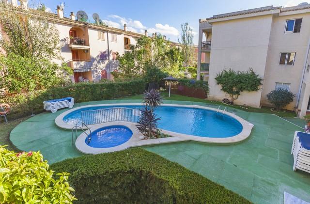Excellent apartment with community pool for sale in Puerto Pollensa, Mallorca