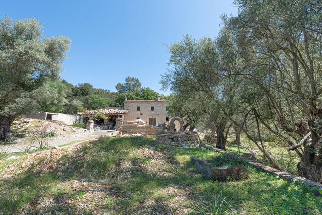 Finca investment with mountain views for sale in Pollensa, North Mallorca 