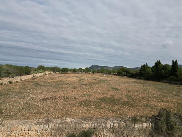 Amplia parcela con licencia en venta en Llucmajor, sur de Mallorca
