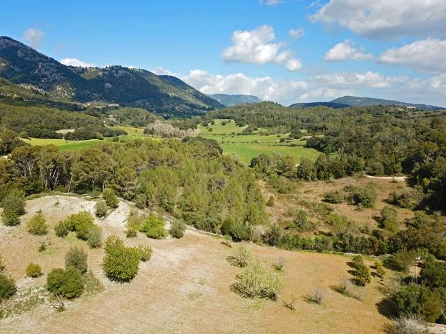 Large rustic plot for sale in a peaceful area close to Campanet, Mallorca