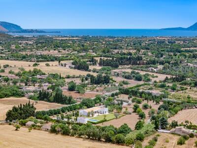Aerial (2)