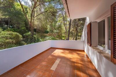 Upper Terrace new.jpg
