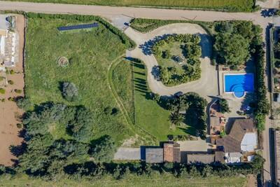 Aerial (1)