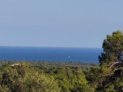 View (2)