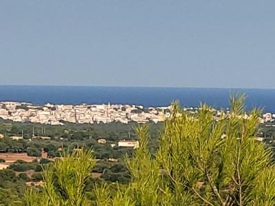 View (8)