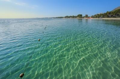 Beach of Port Alcudia 6