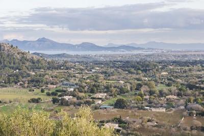 Plot in Pollensa (3)