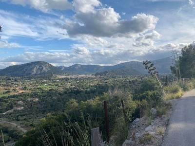 Views (7)