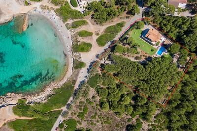 Aerial (6)