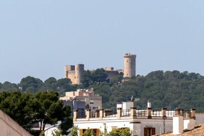 View (2)