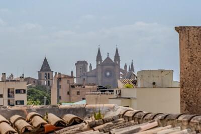 View (1)