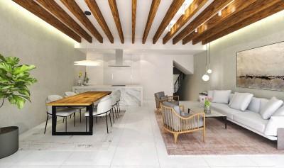 Sal&oacute;n- Cocina-Comedor