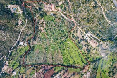 AERIAL 6