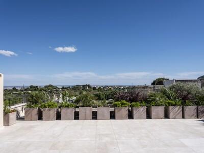 Terrace (5)