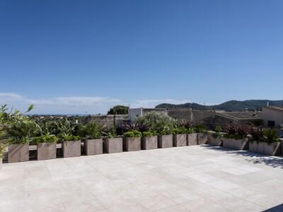 Terrace (2)