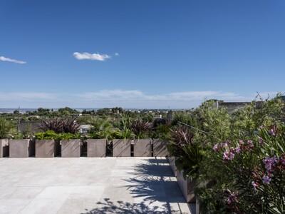 Terrace (3)