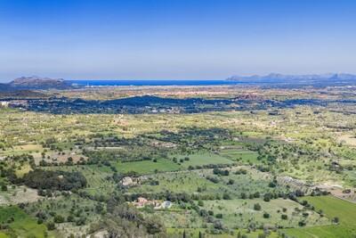 Aerial (6)