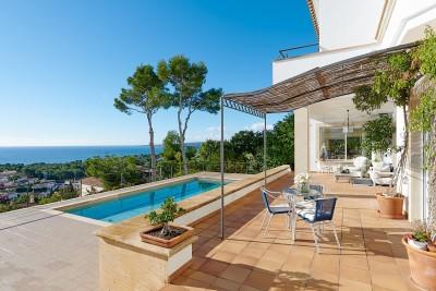 Terrace views