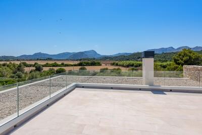 Terrace (1)