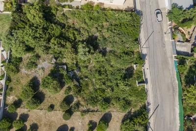 Aerial (11)