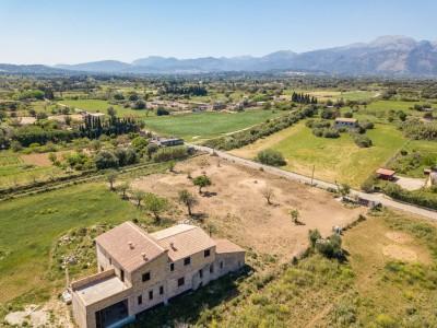 Aerial (1)